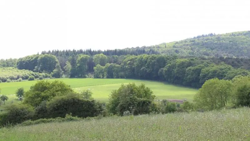 La Chapelle