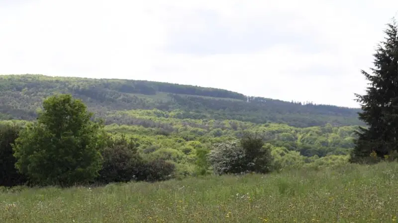 La Chapelle