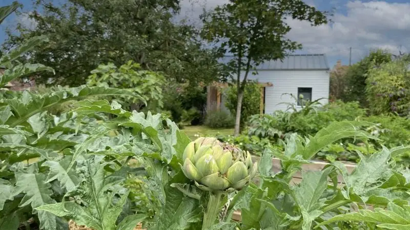 Les Cabanes des Loups