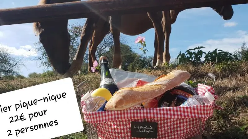 Au fer à cheval - Les Bordeaux