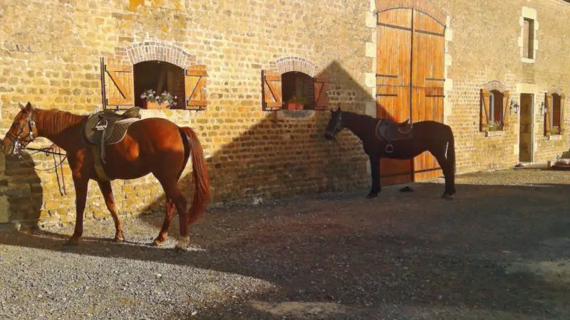 Au fer à cheval - Les Bordeaux