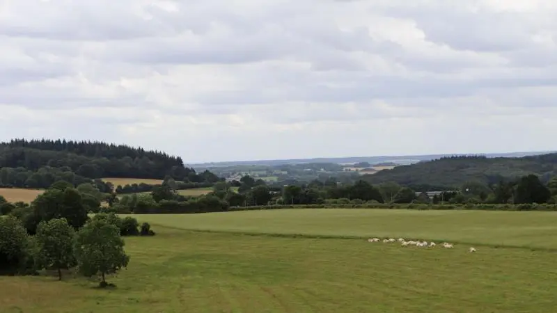 Au fer à cheval - Les Bordeaux