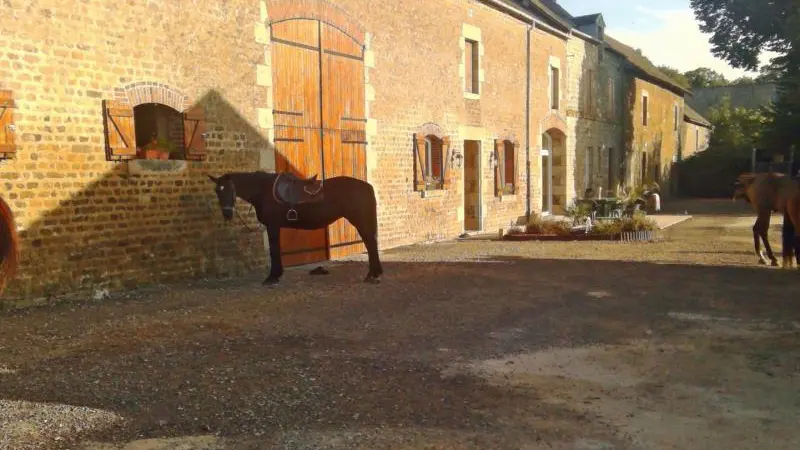 Au fer à cheval - Les Bordeaux