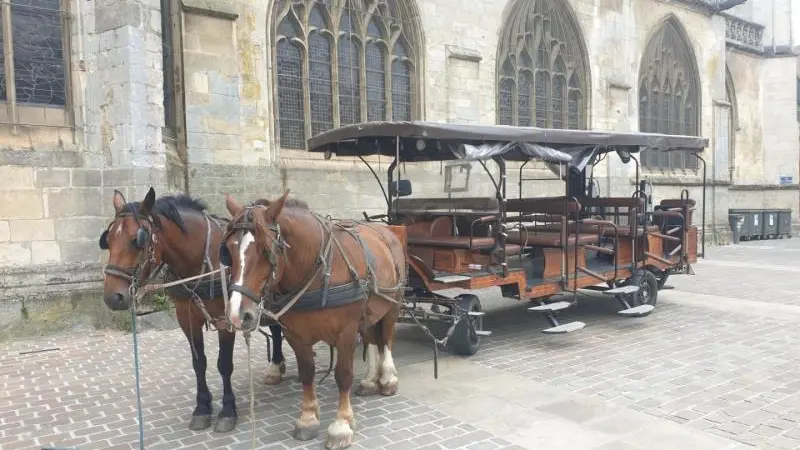 Au fer à cheval - Les Bordeaux