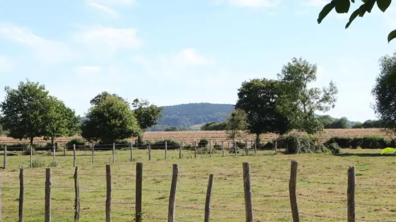 Le Verger - Le Plessis