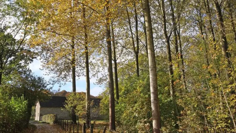 Gîtes de France L'Epart