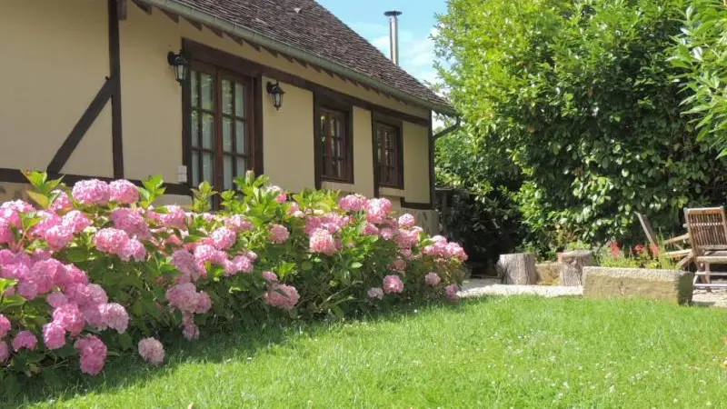 Sarceaux - Gîte d'Andaines