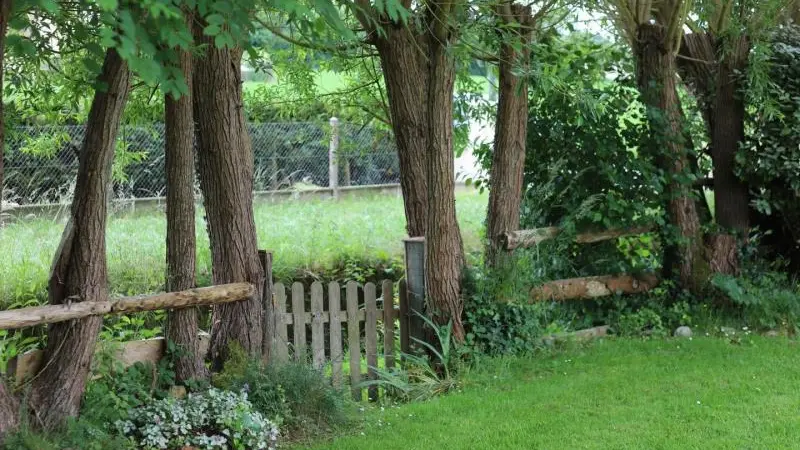 Gîtes de France Le petit ruisseau