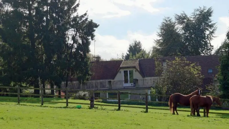 Le Vanessa d'Ecouves