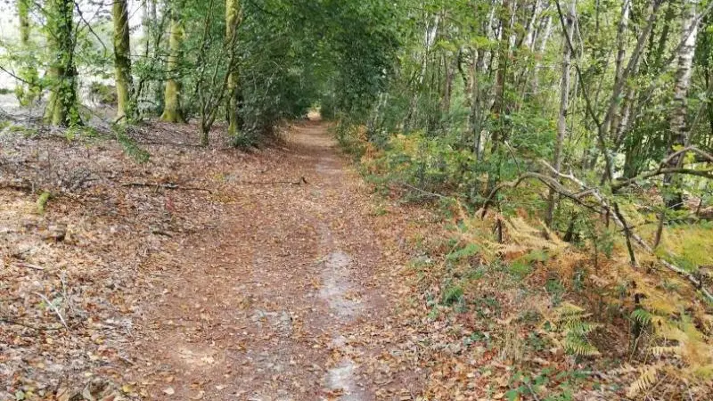 Gîtes de France Le Randonneur