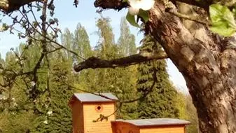 Le chalet Tchanqué d'Ecouves