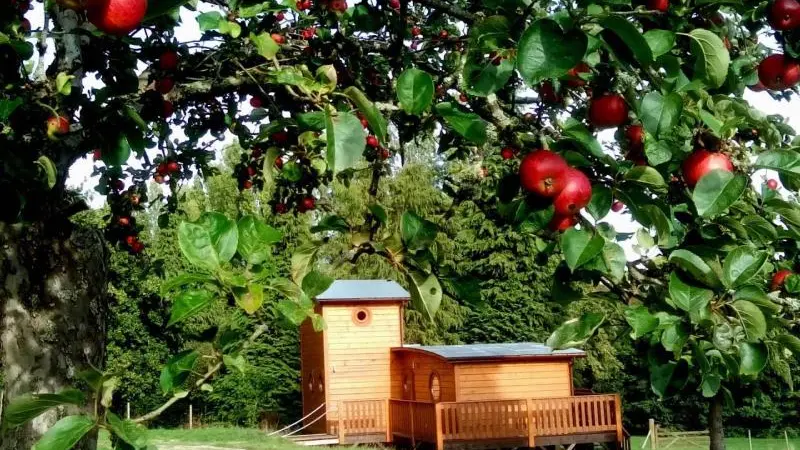 Le chalet Tchanqué d'Ecouves