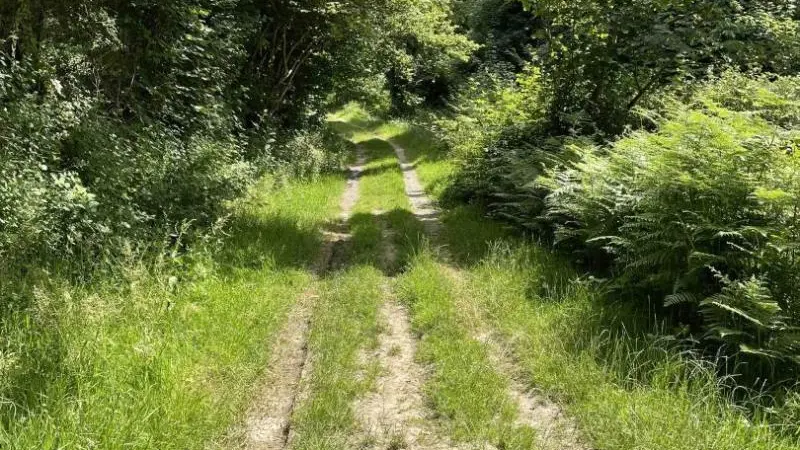 Les Noyers d'Ecouves