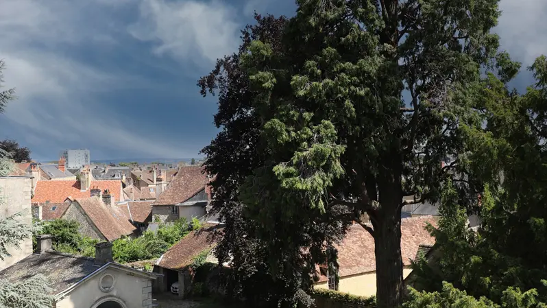 Les2Marguerite©JE-Rubio (7)red