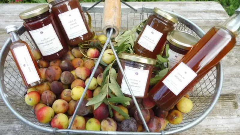 Bourrache et Coquelicot - Fontenai les Louvets