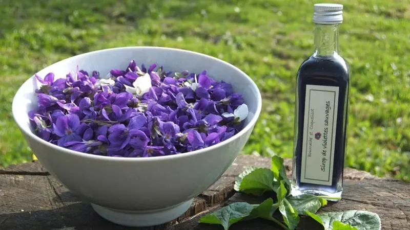 Bourrache et Coquelicot - Fontenai les Louvets