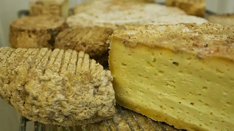 Brebis d'Ecouves - St Nicolas des Bois