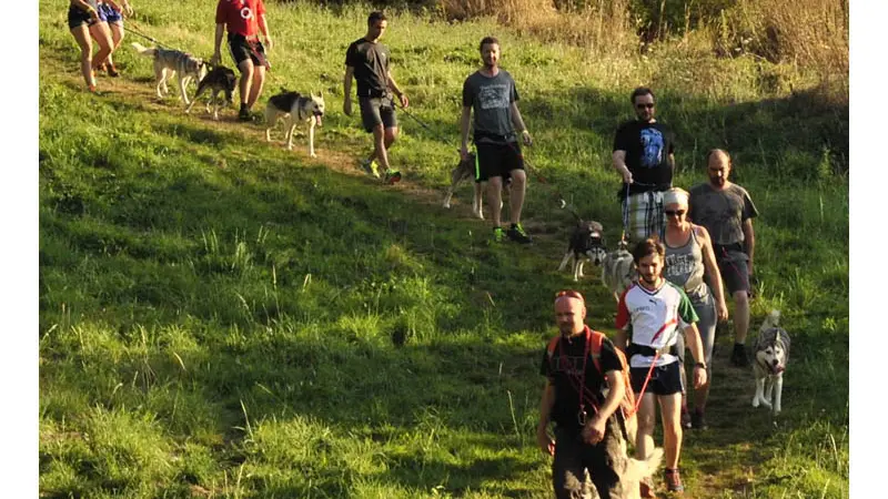 Cani Rando Récréative