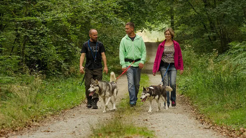 Cani Rando Récréative