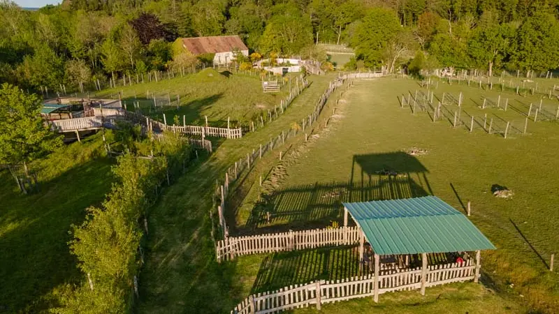Parc animalier d'Ecouves - Le Bouillon