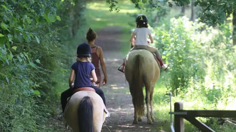 Haras EOZ - Saint Nicolas des Bois