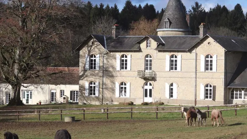 Haras EOZ - Saint Nicolas des Bois
