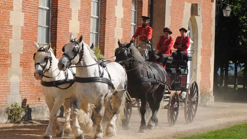 Haras national du Pin - Le Pin au Haras