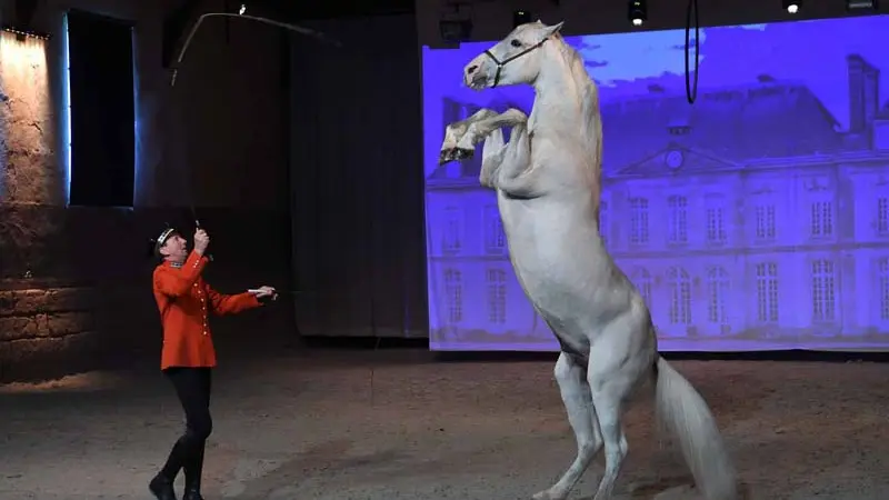 Haras national du Pin - Le Pin au Haras