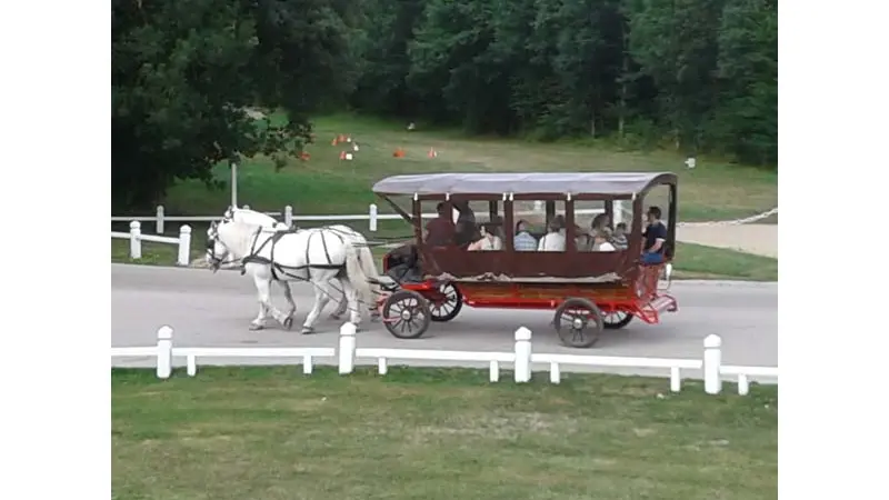 Haras national du Pin - Le Pin au Haras