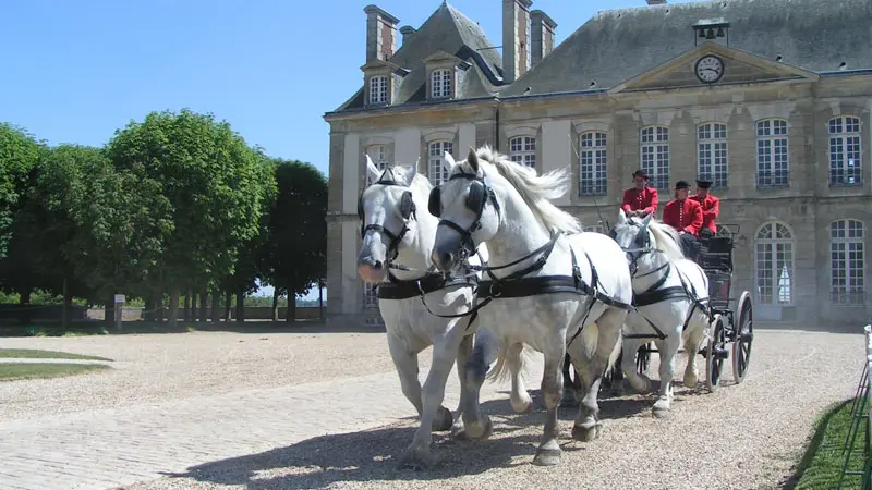 Le Haras du Pin