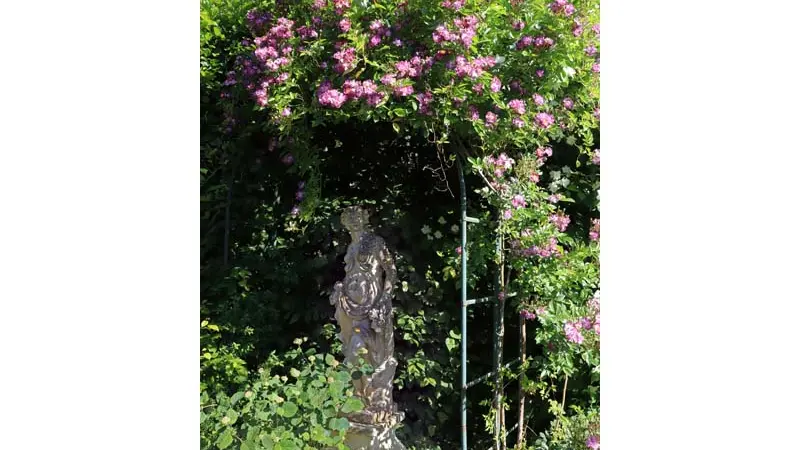 Jardins de la Mansonière - Saint Céneri le Gérei