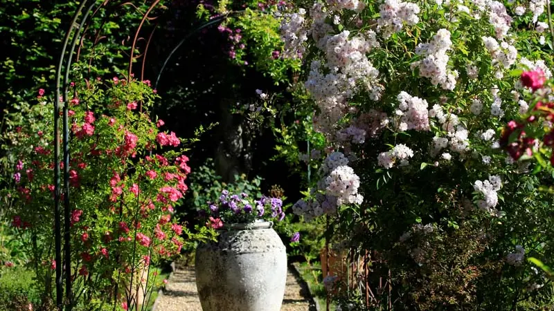 Jardins de la Mansonière - Saint Céneri le Gérei