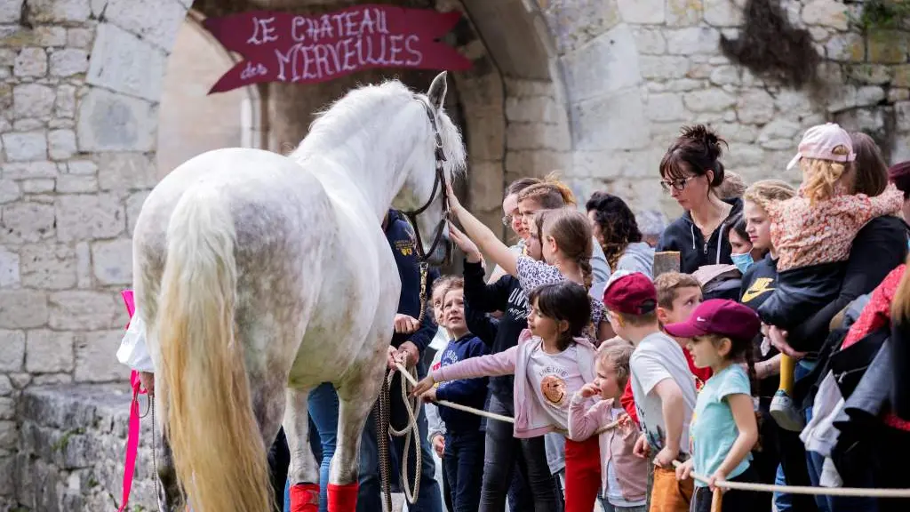 4  Chateau animation cheval jeux enfants bois bridoire
