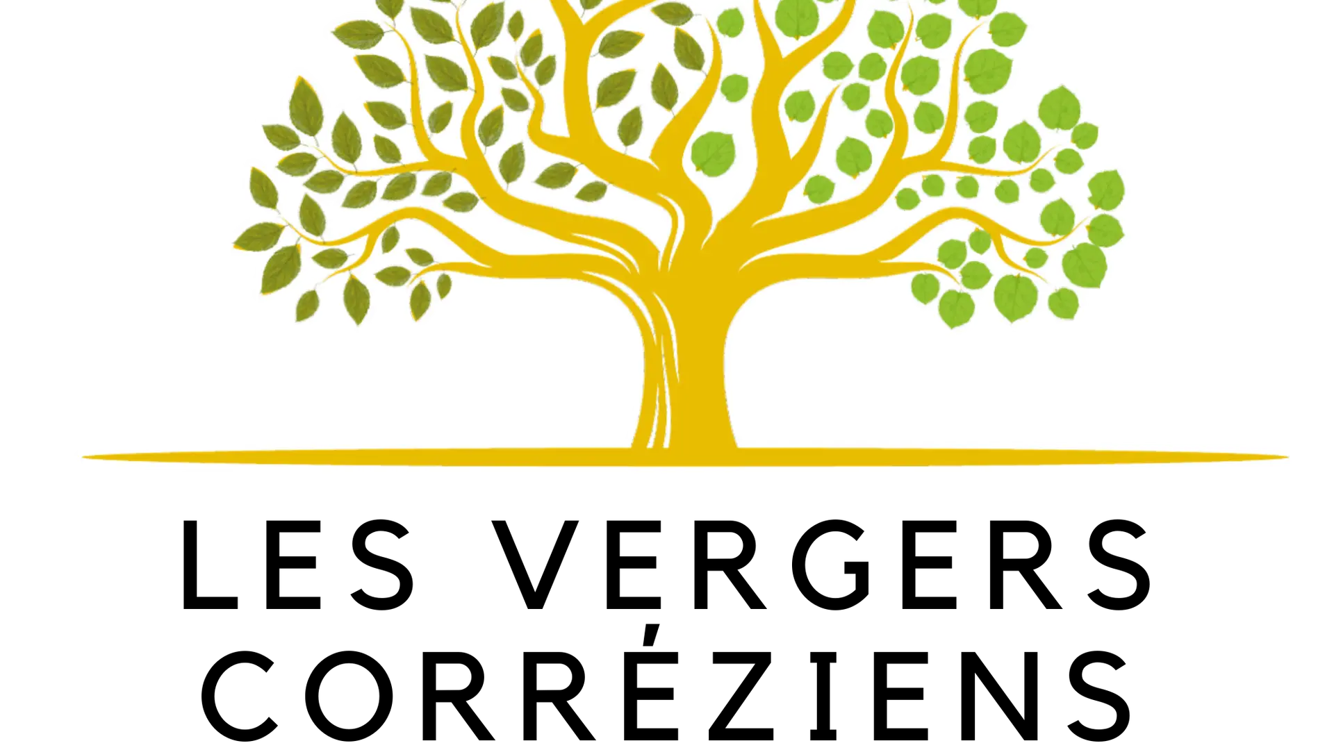 Grey Fast Food Truck Round Logo (1280 × 1280 px) - 47