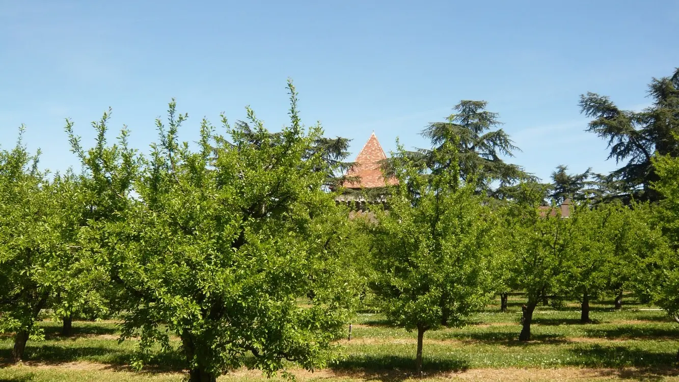 Les vergers d'escoute