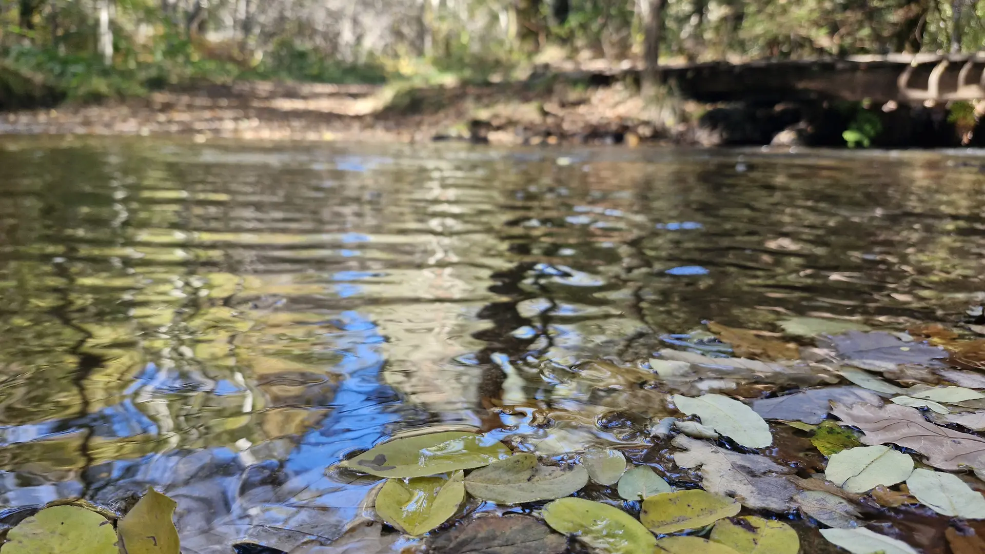 © Jade Lautrete (28)