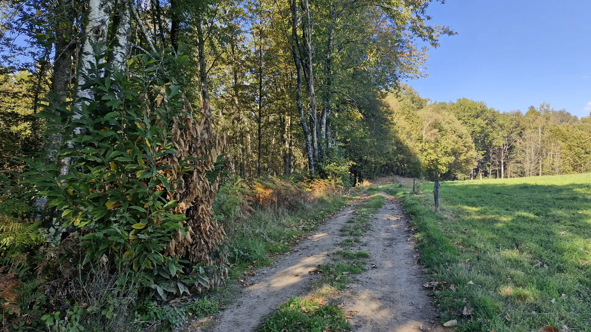 © Jade Lautrete (22)