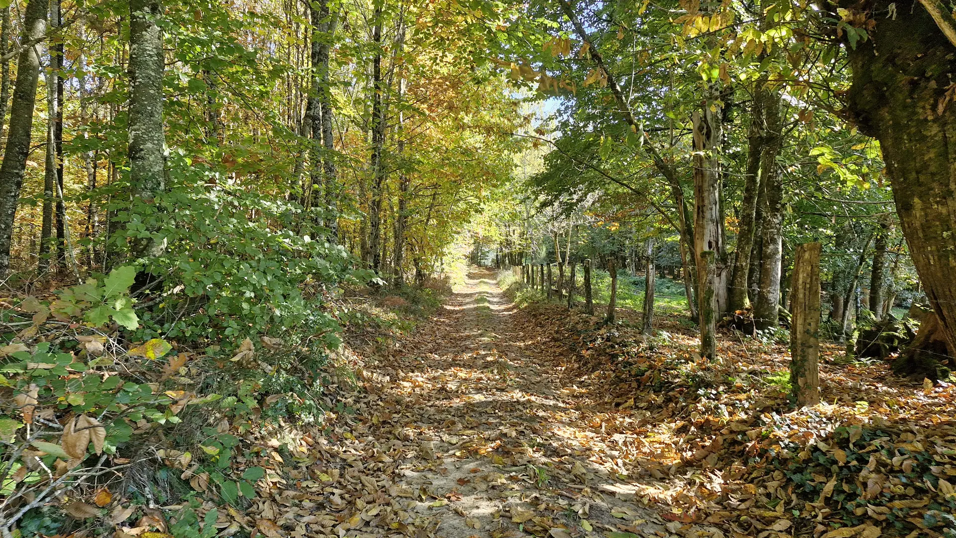 © Jade Lautrete (36)