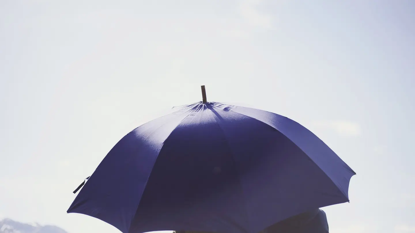 Au parapluie des Pyrénées - Pau - Sous le parapluie