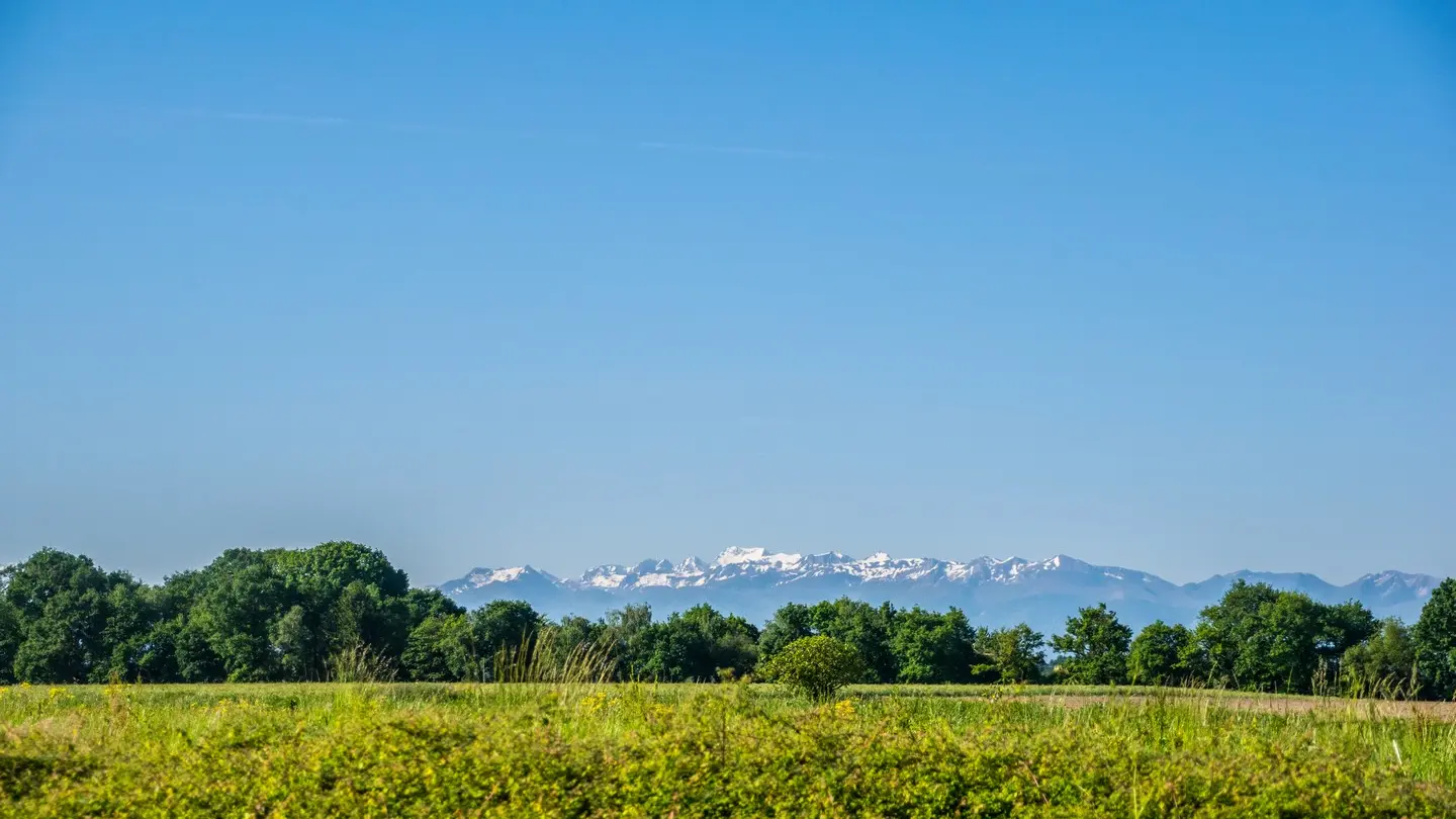 Uzein - vue Pyrénées