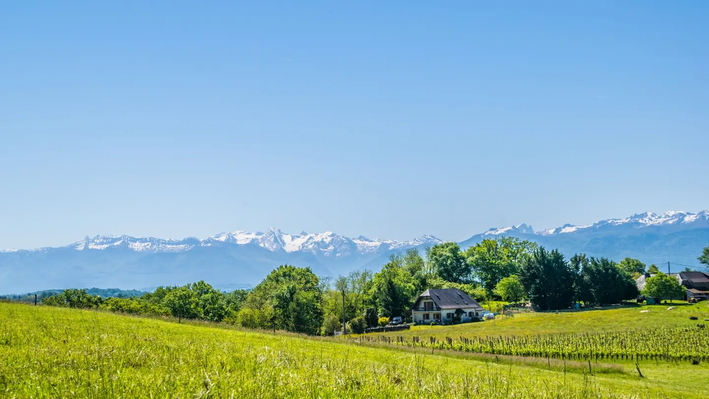 Le cap d'Arrandes - Arbus - Vue pyrénées 1
