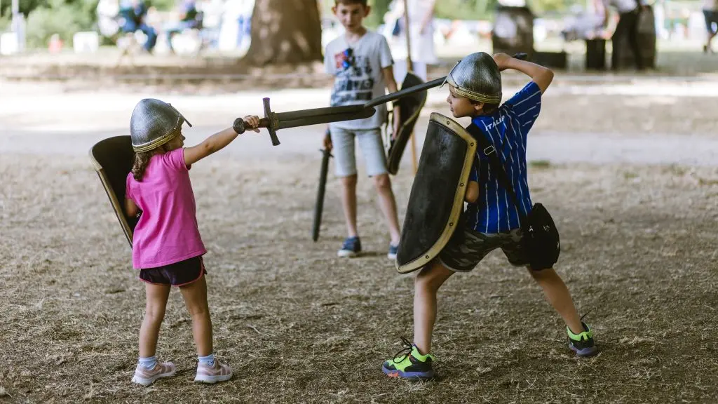 14  CHATEAU DE BRIDOIRE - jeux en bois moyen age