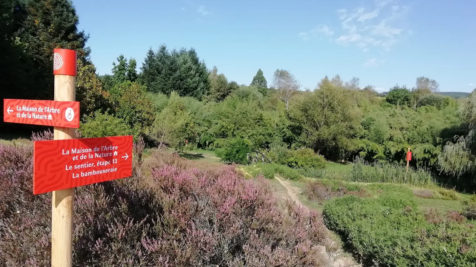 Parc arboretum de Chamberet_4