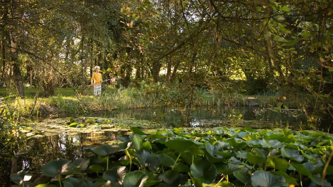 Parc arboretum de Chamberet_2
