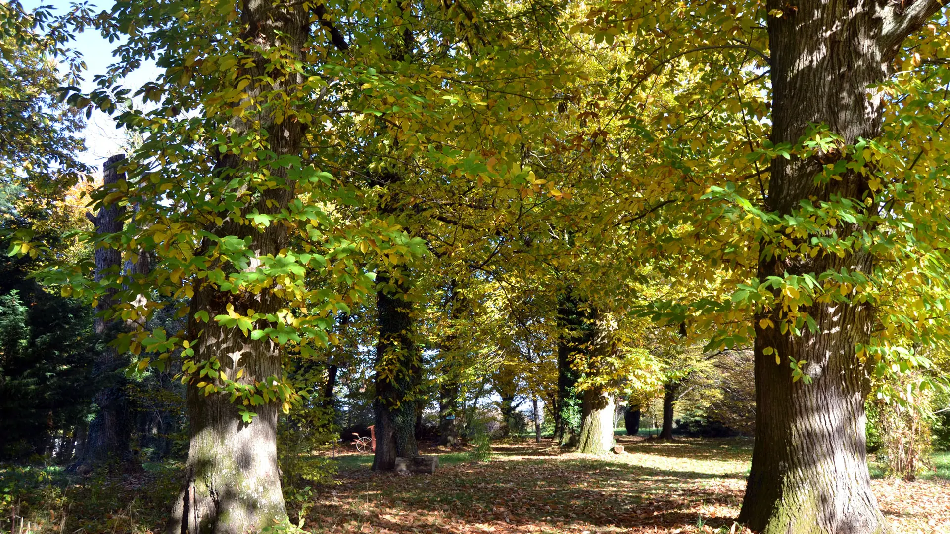 Arboretum AL GAULHIA_2