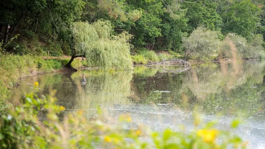 2021_sentier_Bias (3) (Copier)