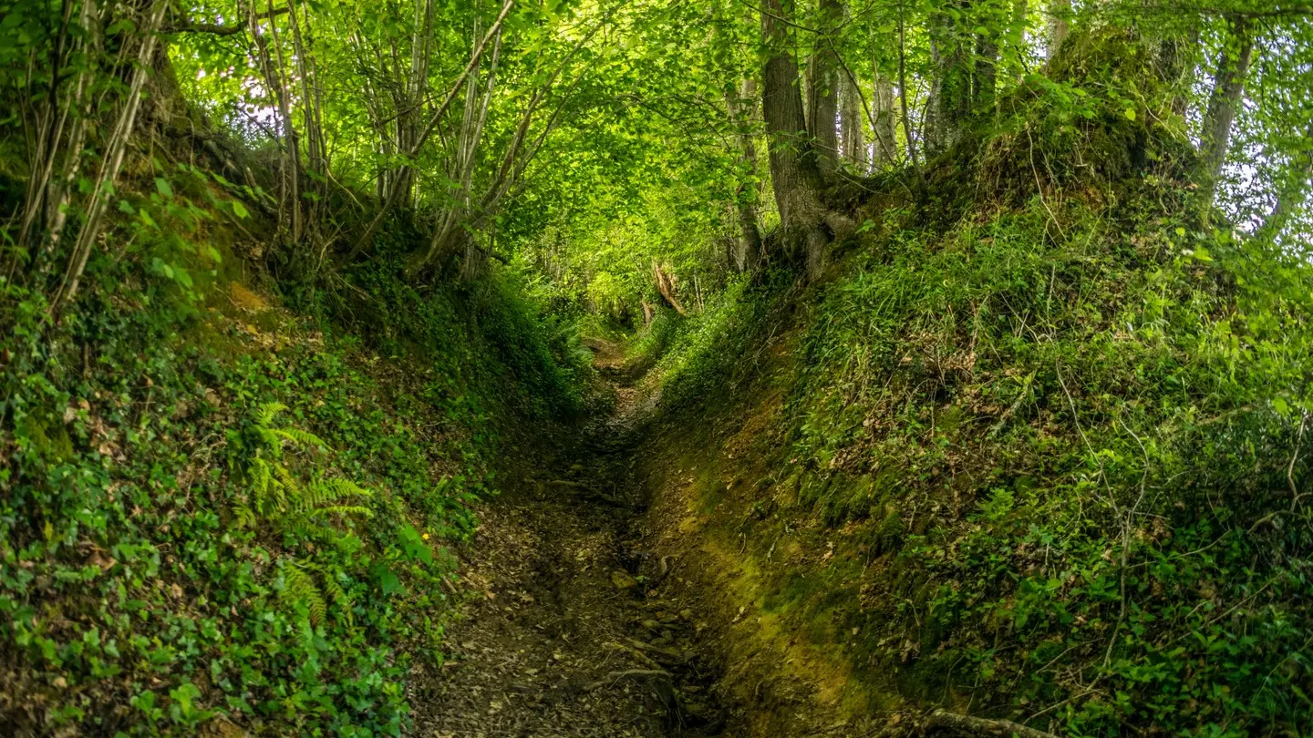 Côteaux de las hies - Chemin