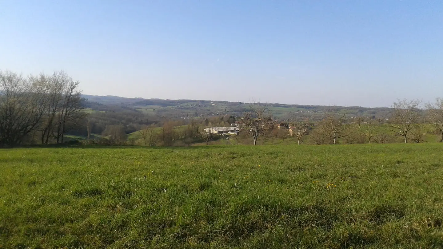 table de pique nique 3