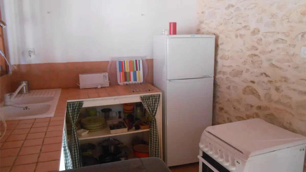 tournonzen_prunier (14)