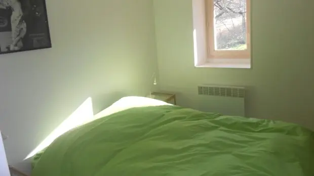 tournonzen_prunier (11)